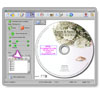 Customize Your Disc with Merge Fields